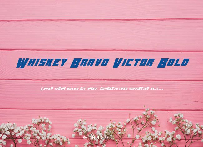 Whiskey Bravo Victor Bold example